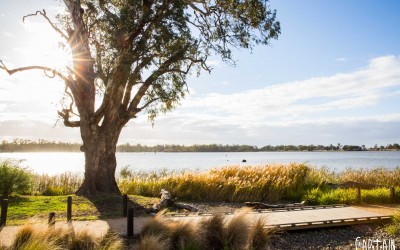 NAGAMBIE