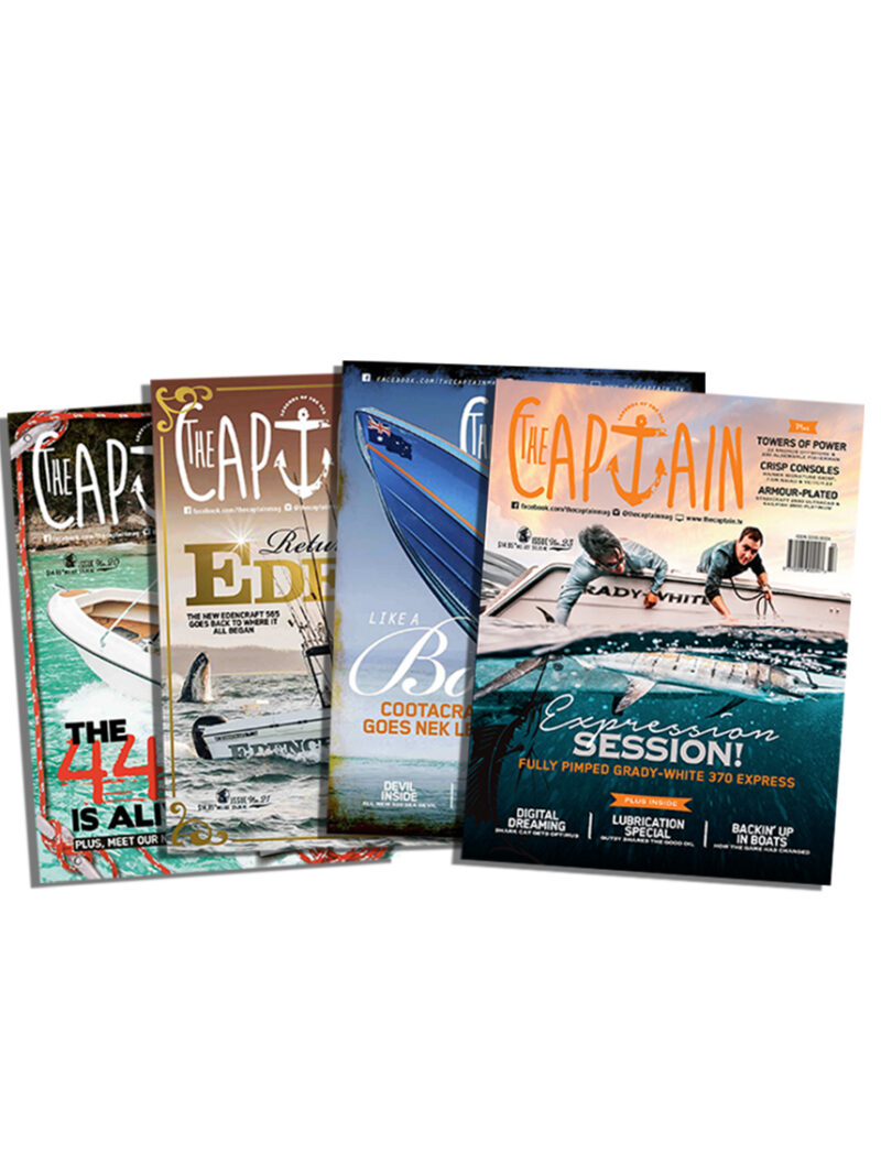 12 month subscription