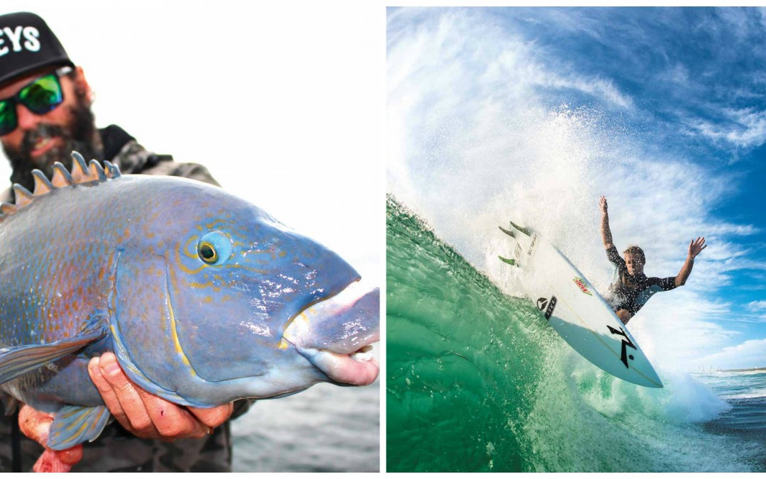 SURF OR FISH?
