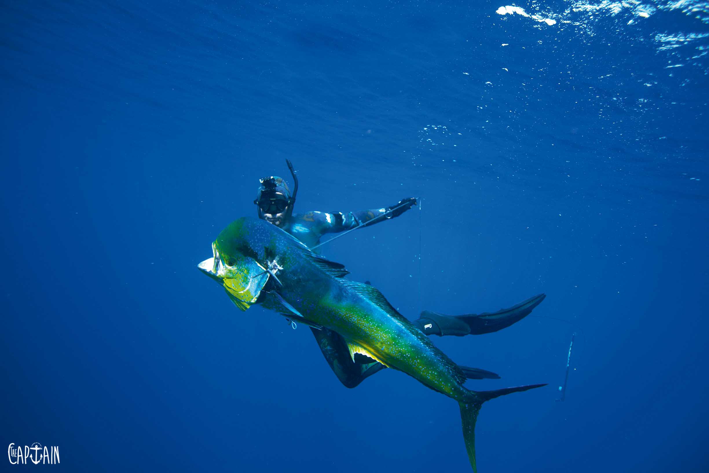 PAUL'S SPEARFISHING GEAR GUIDE - The Captain Magazine