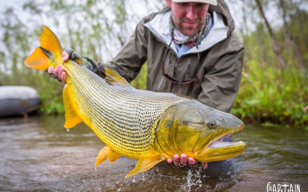 JOSHUA HUTCHINS AND HIS CREW HUNT GOLD IN THE ARGENTINE JUNGLE