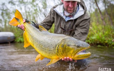 JOSHUA HUTCHINS AND HIS CREW HUNT GOLD IN THE ARGENTINE JUNGLE