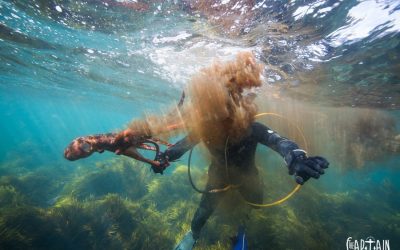 SCIENCE UNDER THE SOUTHERN SEA